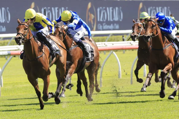 Expert Picks: The Safest Horse Racing Betting Sites Online